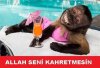 capsmaymunjasdk.jpg