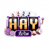 99haywincom