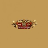 nhacaiuytingdnn