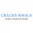 crackswhale