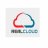 realcloudinfo